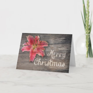 Lirio de las Felices Navidad en Barnboard