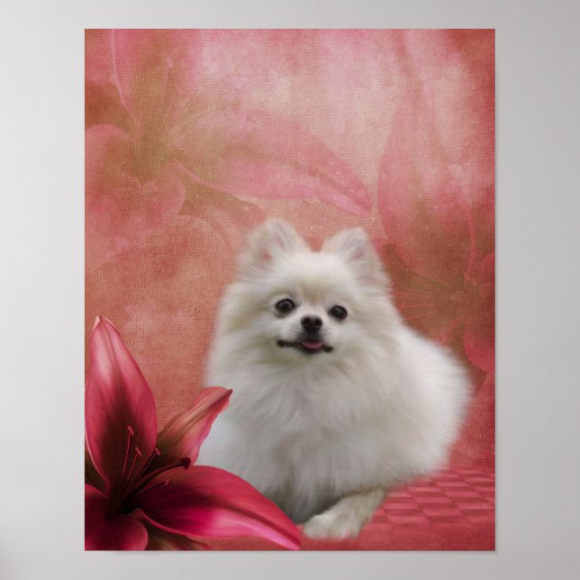 Lirio de perro de Pomerania blanca florió arte ani (Frente)