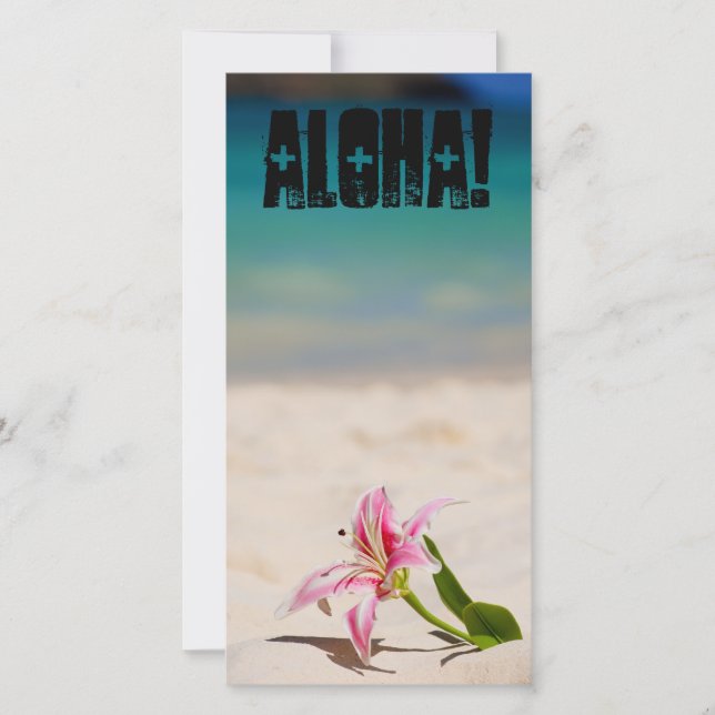 Lirio de playa (Anverso)