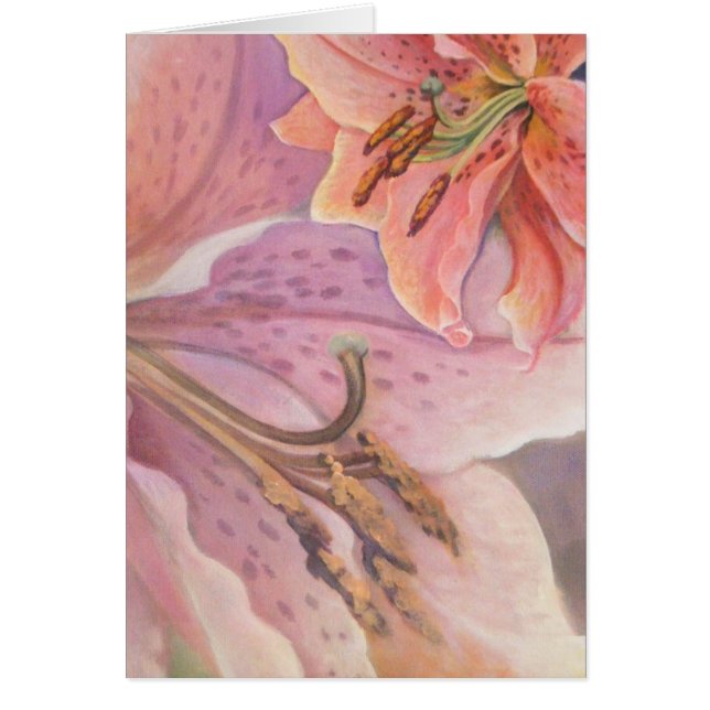 Lirio del Gazer de la estrella (Frente)