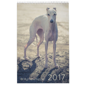 Lirio el calendario de Whippet 2017