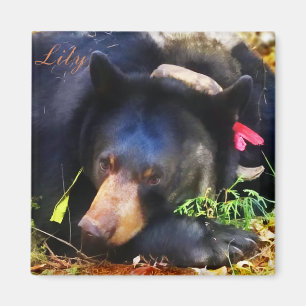 Lirio el oso negro con el imán de las cintas
