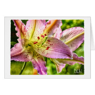 Lirio Flor de Stargazer / Arte Acuarela Floral /