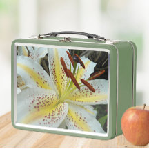 Lirio oriental blanco con floral estelar amarillo