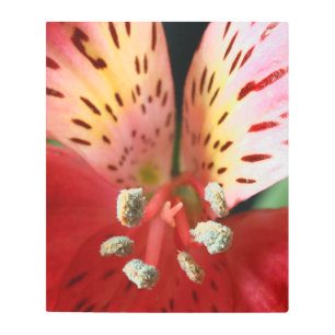 Lirio peruano alaba arte mural Metalizado