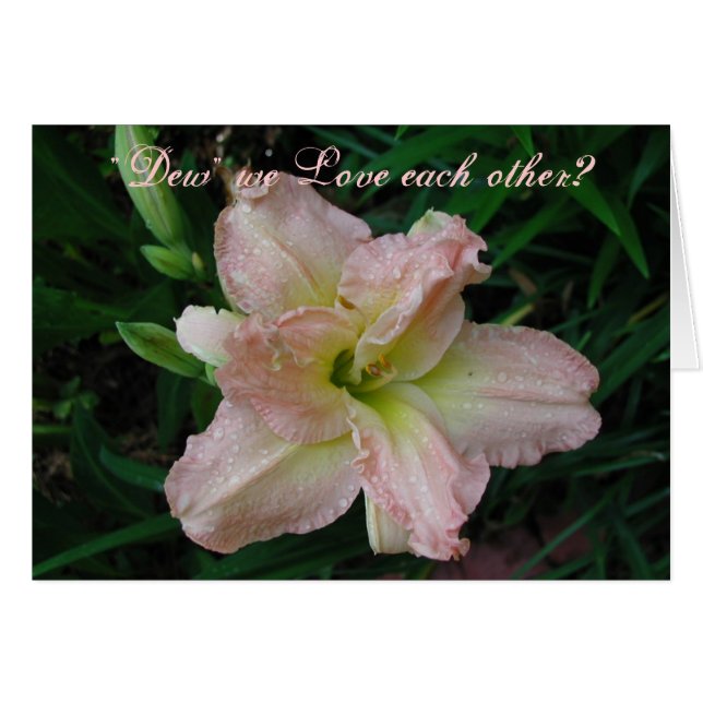 Lirio precioso (Anverso (Horizontal))