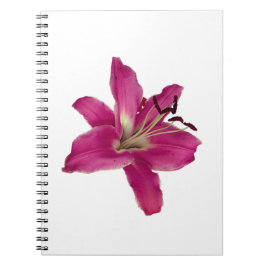 Lirio rosa elegante - Cuaderno estético floral