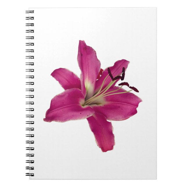 Lirio rosa elegante - Cuaderno estético floral (Frente)