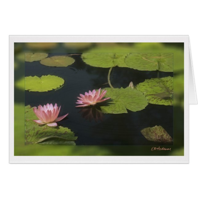 Lirio rosa - Personalizado (Anverso (Horizontal))