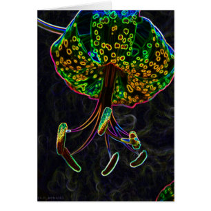 Lirio tigrado Photoshop