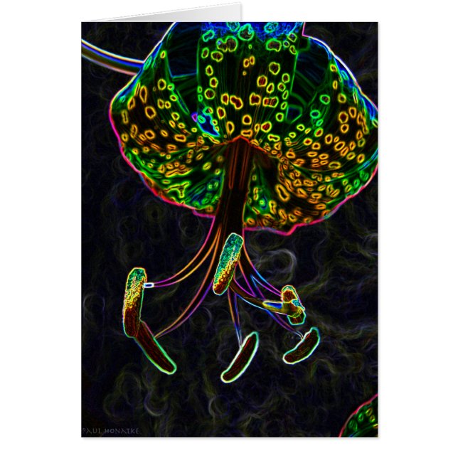 Lirio tigrado Photoshop (Frente)