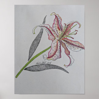 Lirio tigre, lirio silvestre, flor de Lily, arte N