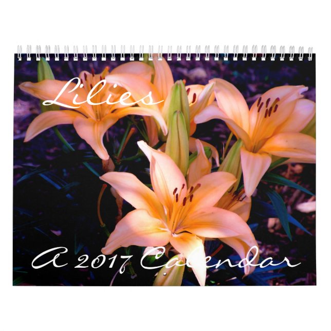 Lirios - calendario 2017 (Tapa)