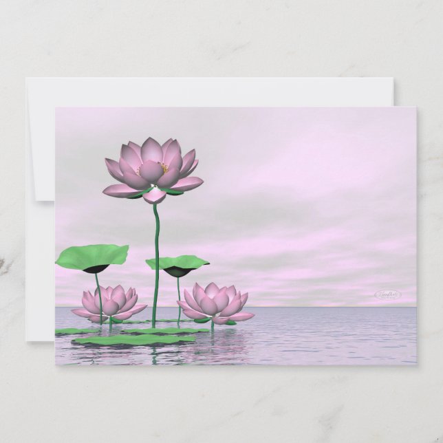 Lirios de agua rosados y flores de loto - presenta (Anverso)
