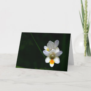 Lirios de día blancos en tarjeta de felicitación