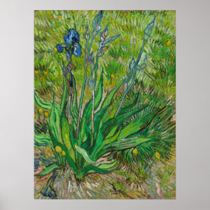 Lirios de Van Gogh - Arte Floral Azul Clásico