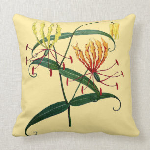 Lirios naranja de Gloriosa y Cojín decorativo del