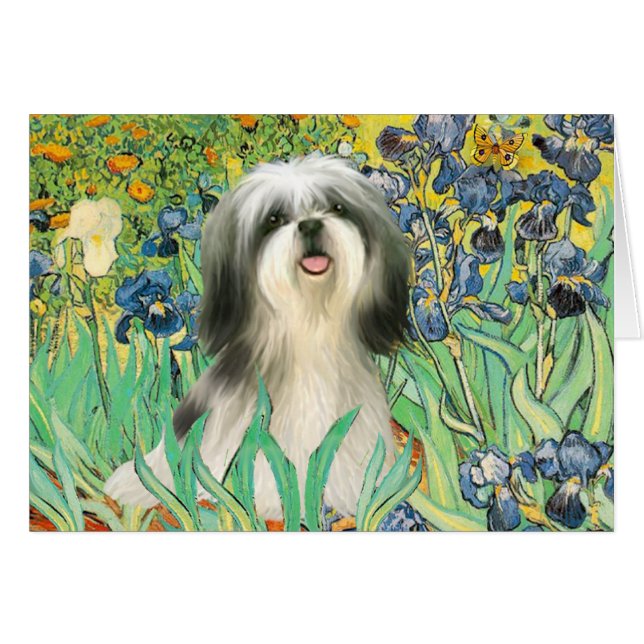 Lirios - Shih Tzu (#3) (Anverso (Horizontal))