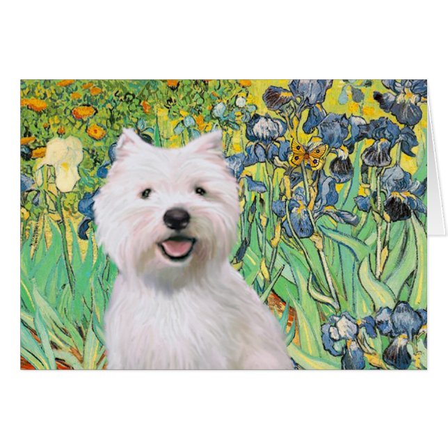 Lirios - Westie 2 (Anverso (Horizontal))