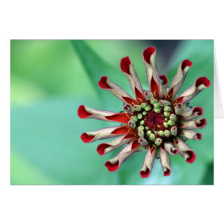 ¡Listo para desplegarse!