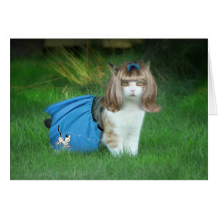 ¡Listo para el Sock Hop!