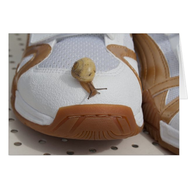 Listo Para La Carreras Del Caracol (Anverso (Horizontal))