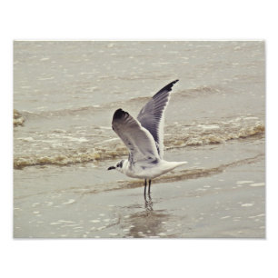 Listo para la foto del vuelo