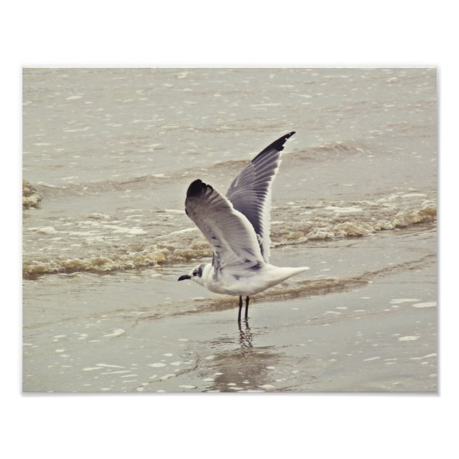 Listo para la foto del vuelo (Frente)