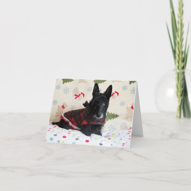 Listo para la tarjeta de Navidad (con texto) (Anverso)