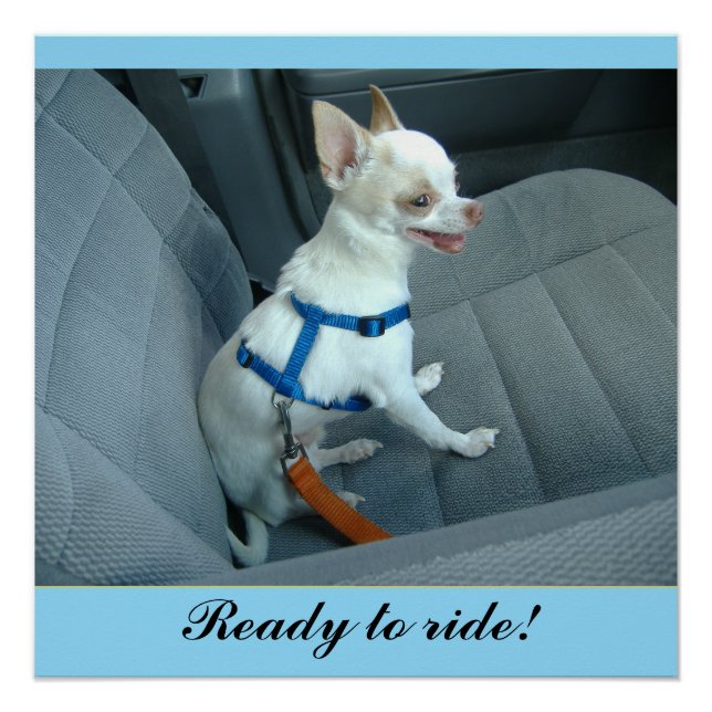 Listo para viajar con un Poster brillante (Anverso)