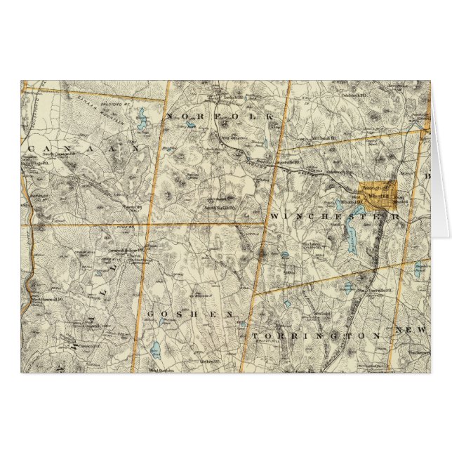 Litchfield Co (Anverso (Horizontal))