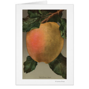 Litografía de Chromo de la fruta de Belleflower