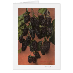 Litografía de Chromo de la fruta del mamut