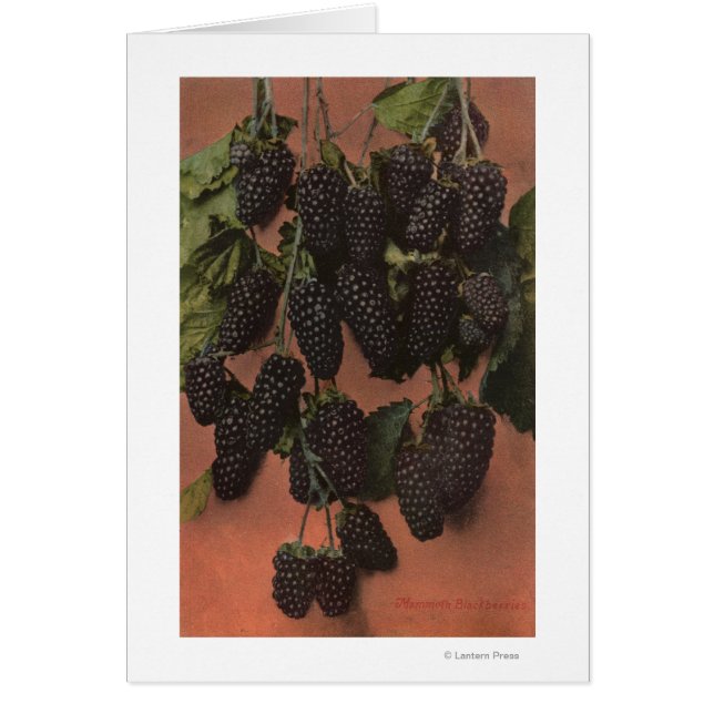 Litografía de cromo de fruta de mamut (Frente)