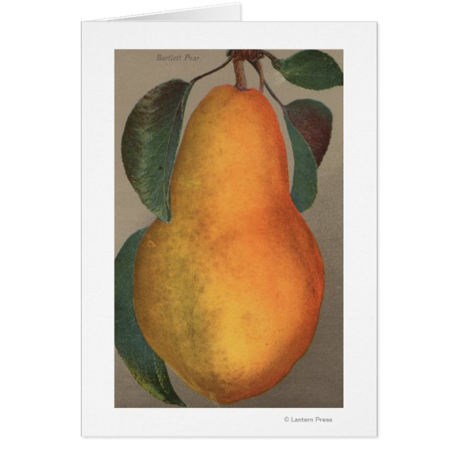 Litografía de cromo de fruta de Pear de Bartlett (Frente)
