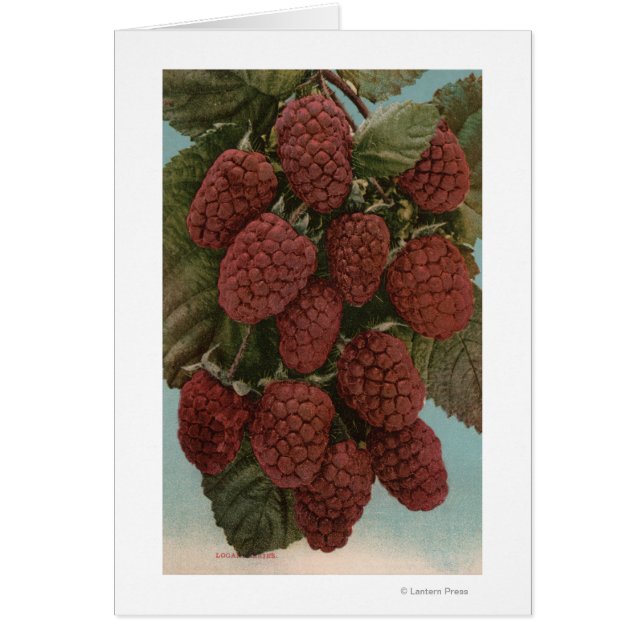 Litografía de cromo de frutas del estado de Loganb (Frente)