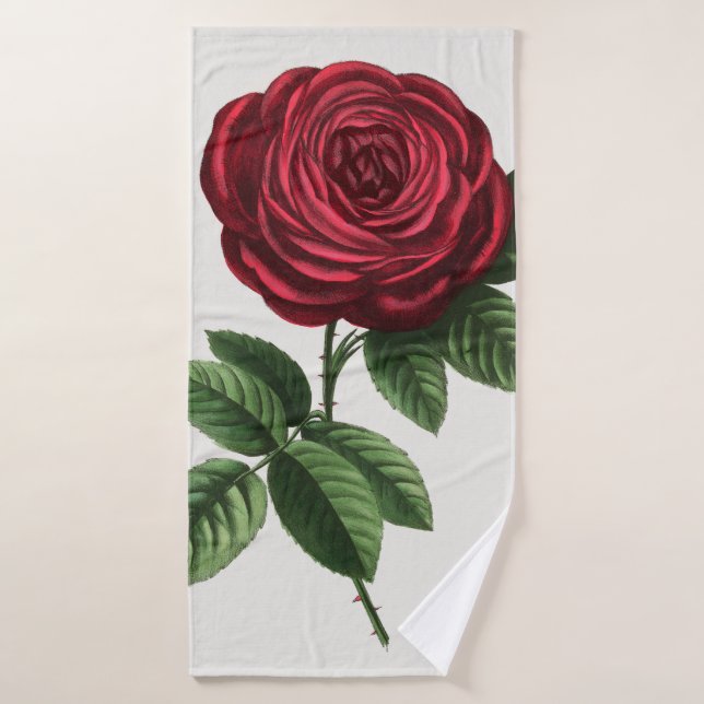 Litografía de rosa antigua, François-Frédéric Grob (Toalla de baño)