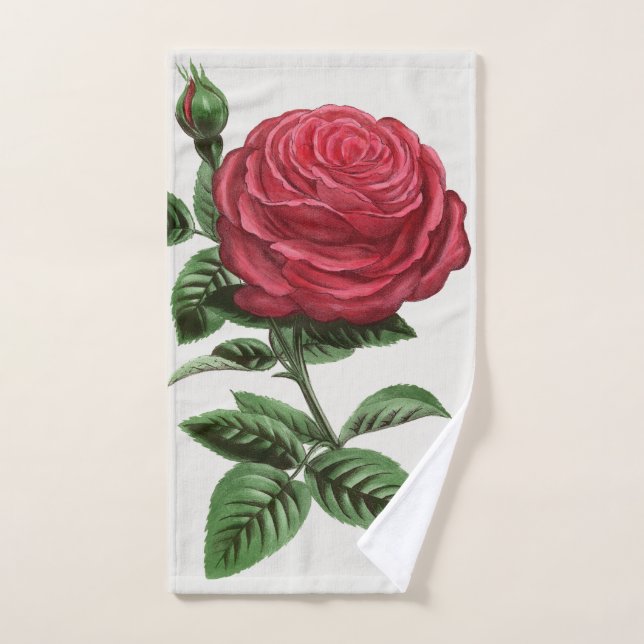 Litografía de rosa antigua, François-Frédéric Grob (Toalla de mano)