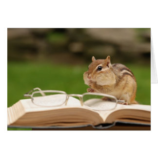 little chipmunk reflexiona sobre su libro