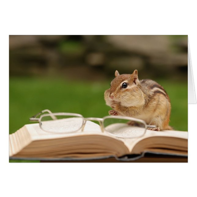 little chipmunk reflexiona sobre su libro (Anverso (Horizontal))
