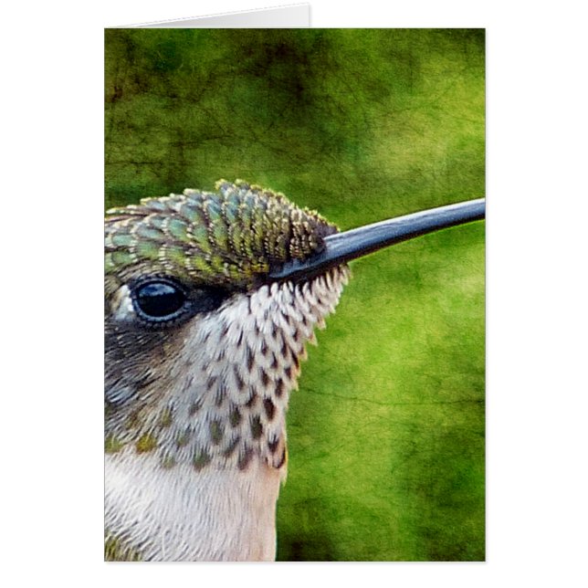 Little Hummer (Frente)