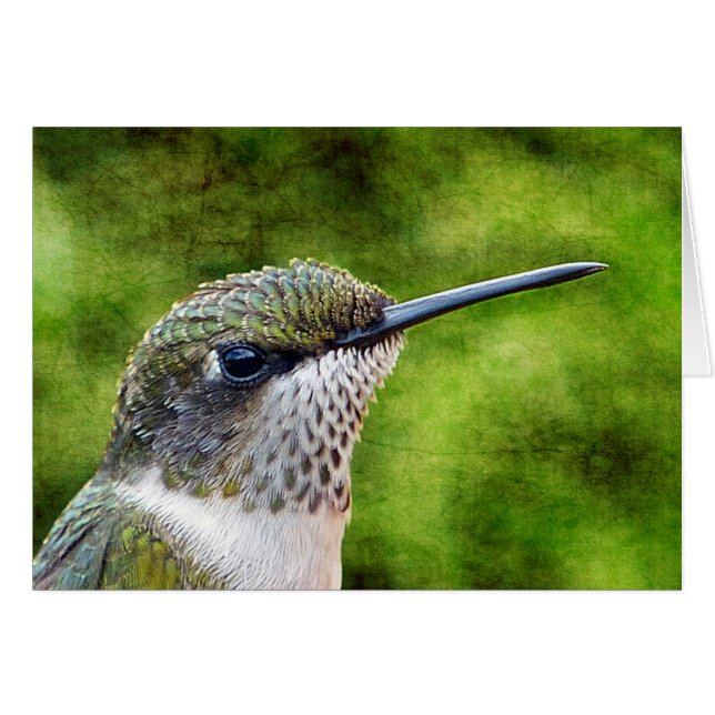 Little Hummer (Anverso (Horizontal))