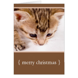 Little Kitten Cat Merry Christmas Holiday Card