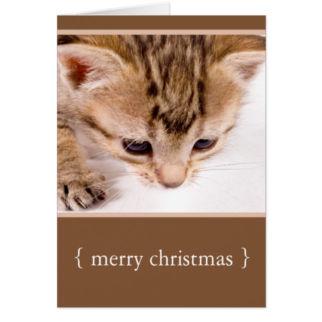 Little Kitten Cat Merry Christmas Holiday Card (Frente)