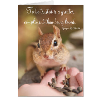 Little Trusting Chipmunk