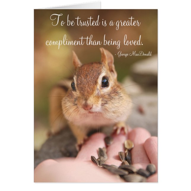 Little Trusting Chipmunk (Frente)