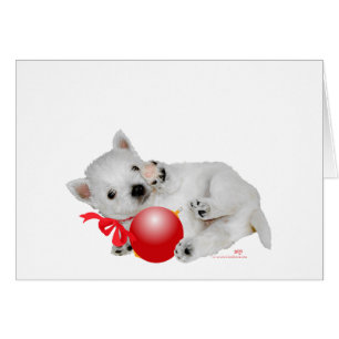 Little Westie con ornamento