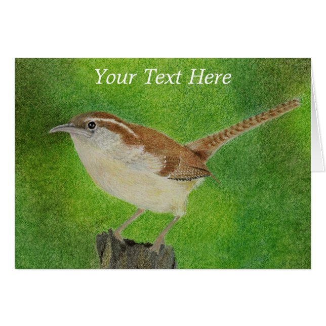 Little Wren (Anverso (Horizontal))