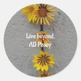 Live Beyond Pegatina