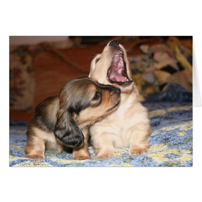 Live, Laugh, Love (Anverso (Horizontal))